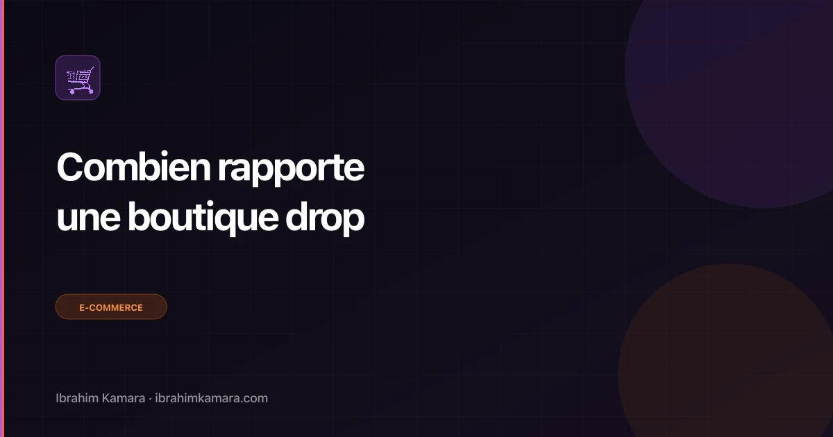Combien rapporte boutique dropshipping