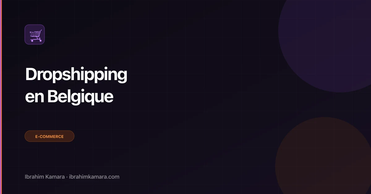 Dropshipping Belgique plateformes