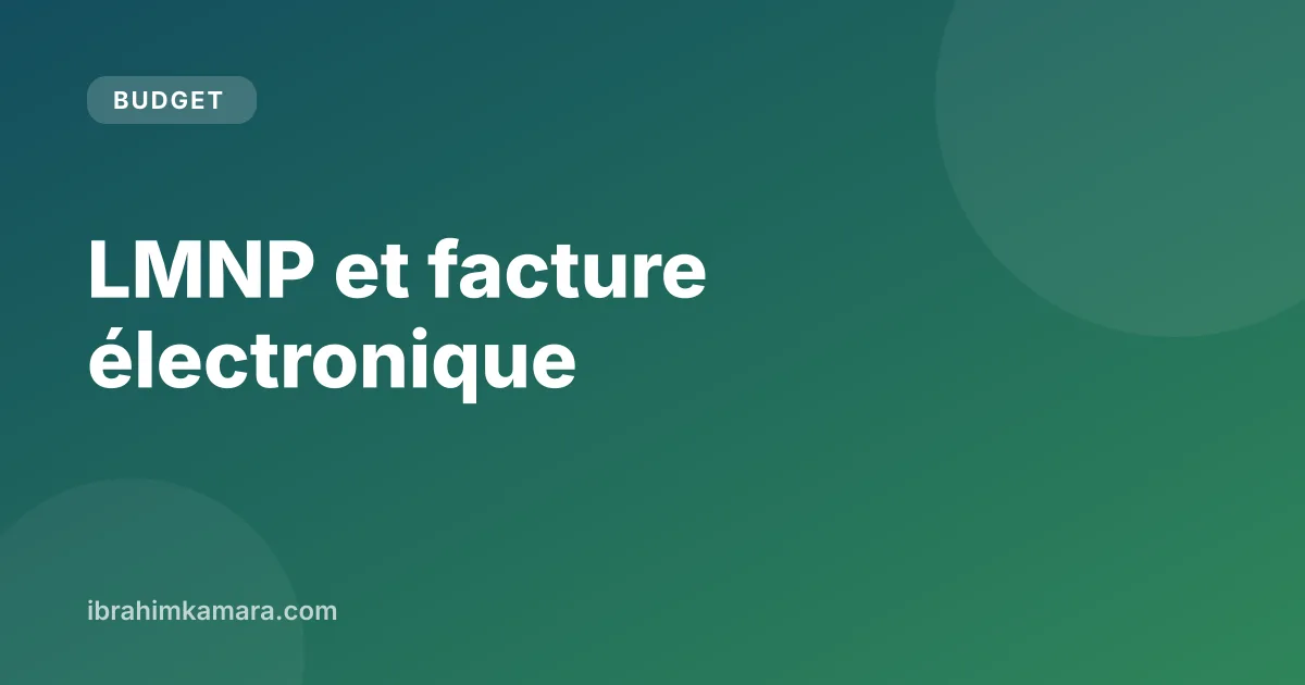 Illustration LMNP et facturation électronique : obligations du loueur en meublé