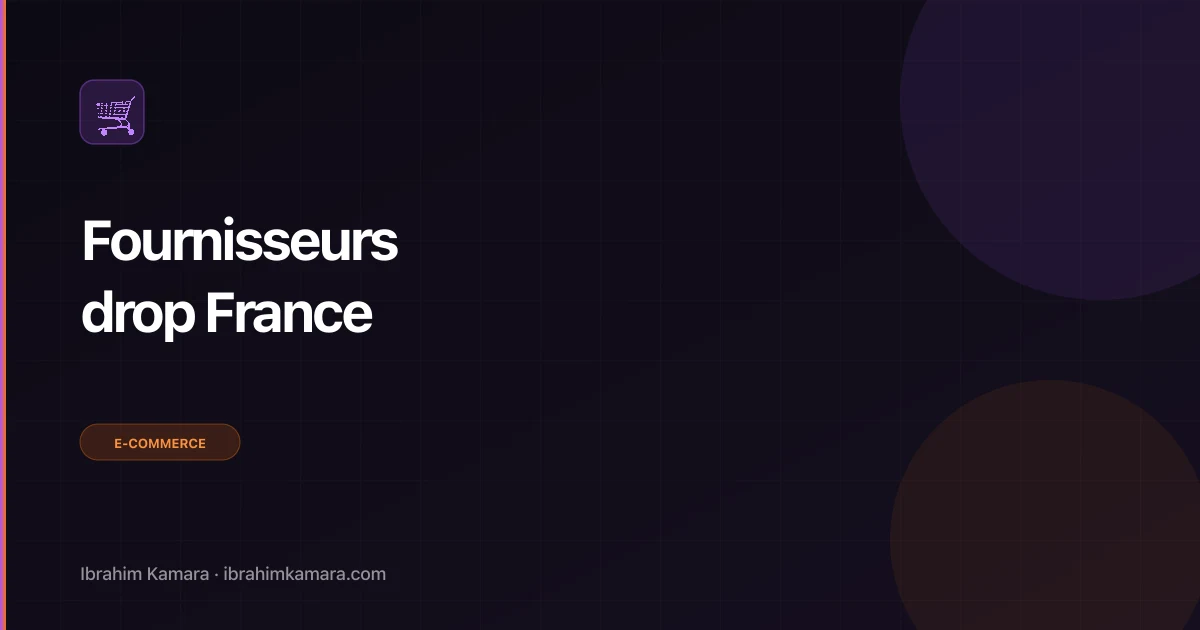Meilleurs fournisseurs dropshipping France